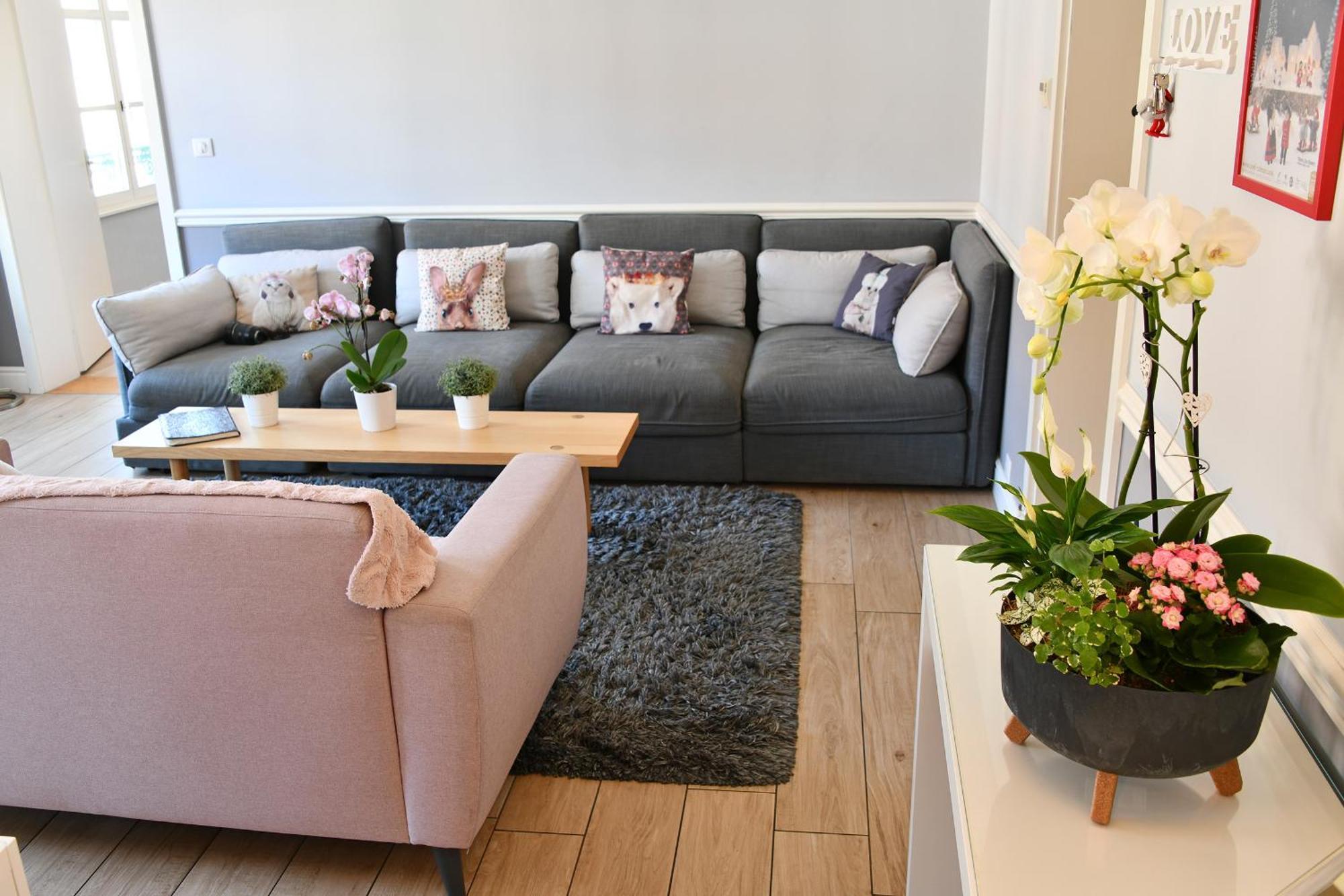 Appartement The Fairytale - Petite Venise Colmar Esterno foto